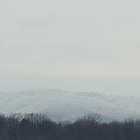 Kliche Casa de hóspedes