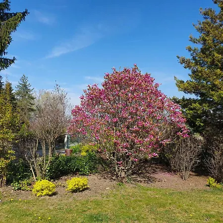 Kliche Casa de hóspedes Przerzeczyn-Zdroj