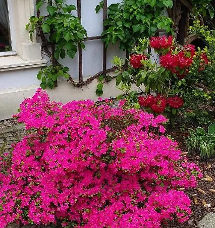 Casa de hóspedes Kliche Przerzeczyn-Zdroj