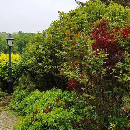 Kliche Casa de hóspedes Przerzeczyn-Zdroj