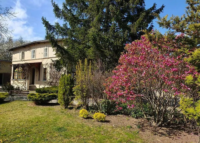 Kliche Przerzeczyn-Zdroj