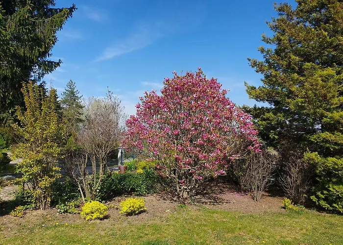 Kliche Guest house Przerzeczyn-Zdroj