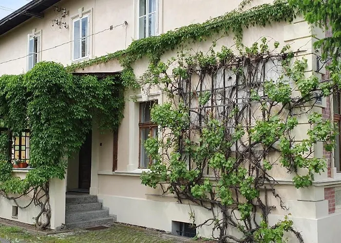 Guest house Kliche 3*